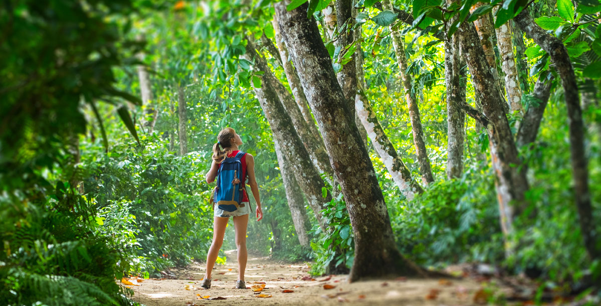 Hiking