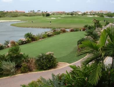 Golf course with palm trees and a pond