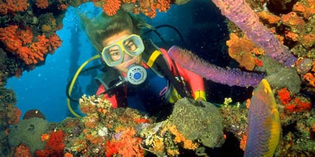 Scuba diver exploring a coral reef