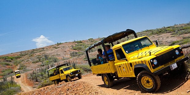 Yellow land rovers on dirt road