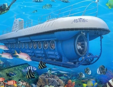 Underwater seaworld submarine next to fish