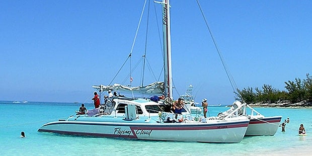 Catamaran sailboat in the ocean