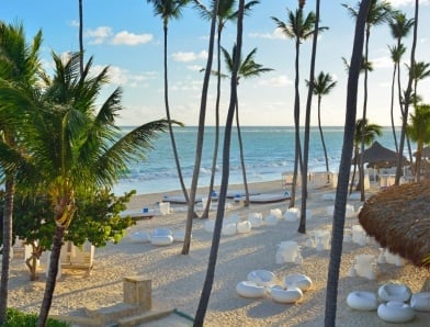 lounge chairs under palm trees next to beach