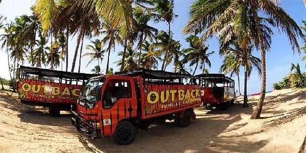 Red outback safari bus next to palm trees