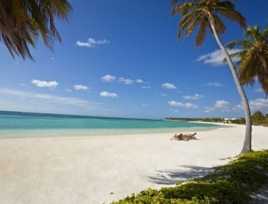 Blue water beach palm tree Dominican Republic