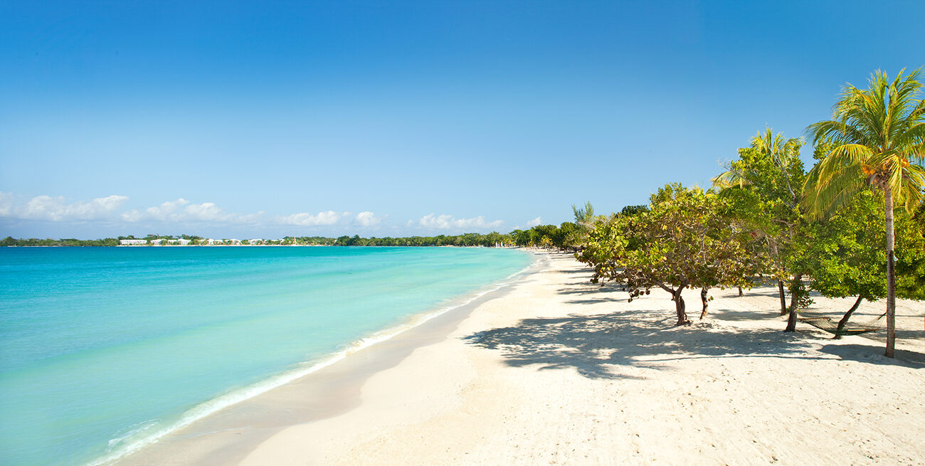 Blue water by sand trees negril jamaica