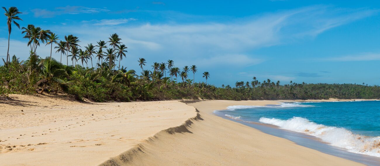 Palm trees sand beach Puerto Rico