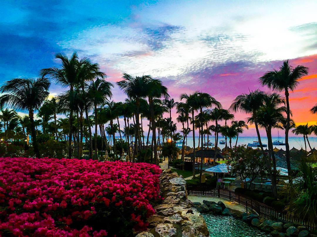 Pink sunset, Palm Beach, Aruba