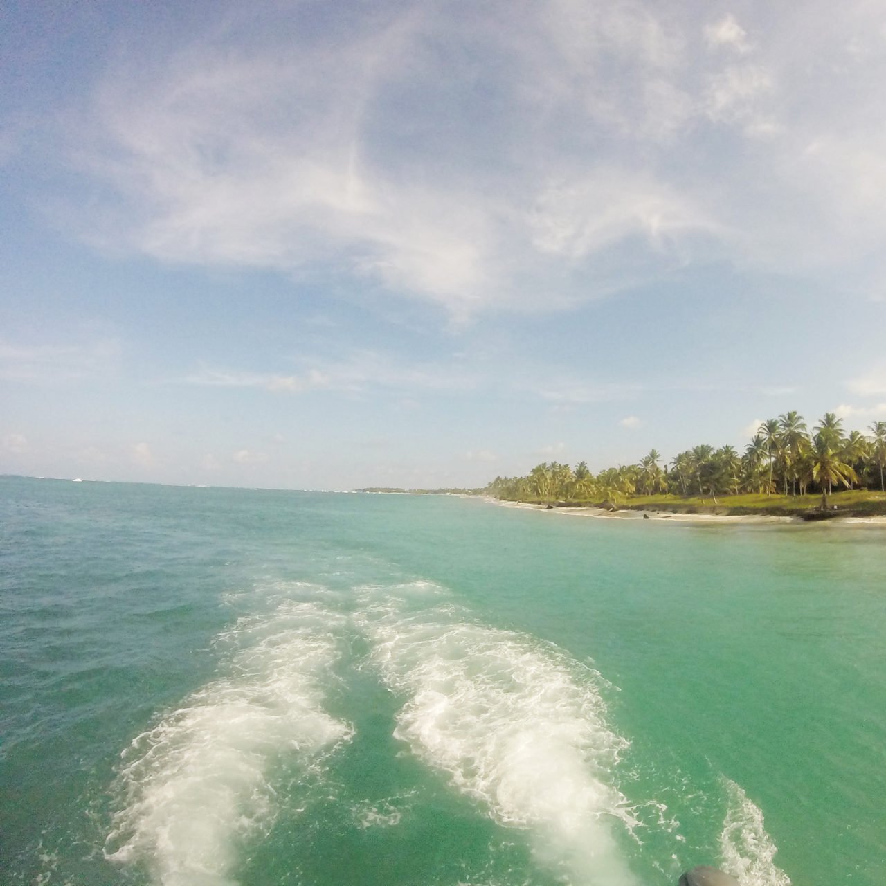 Cruising to the cove, Marinarium, Punta Cana, Dominican Republic