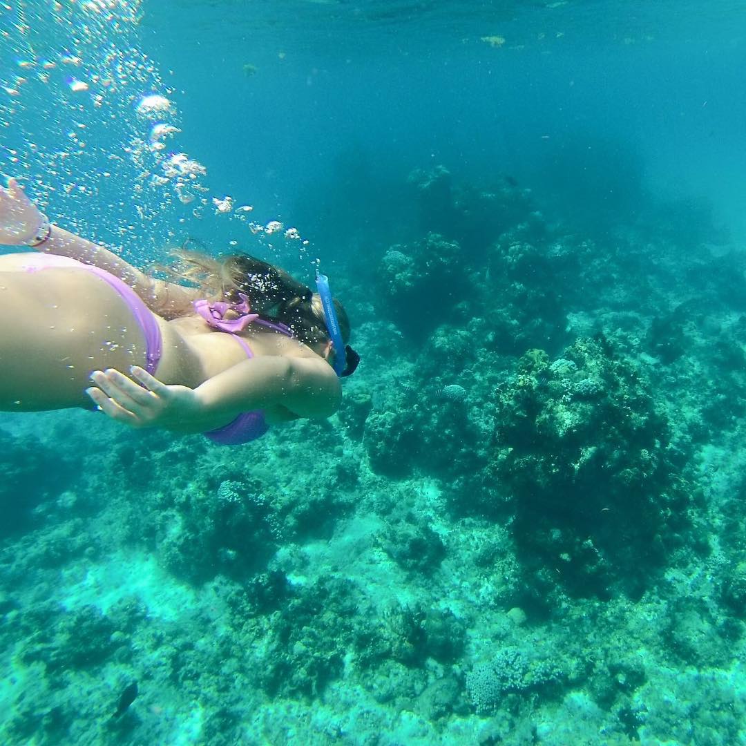 Snorkeling at Iberostar Cozumel, Mexico