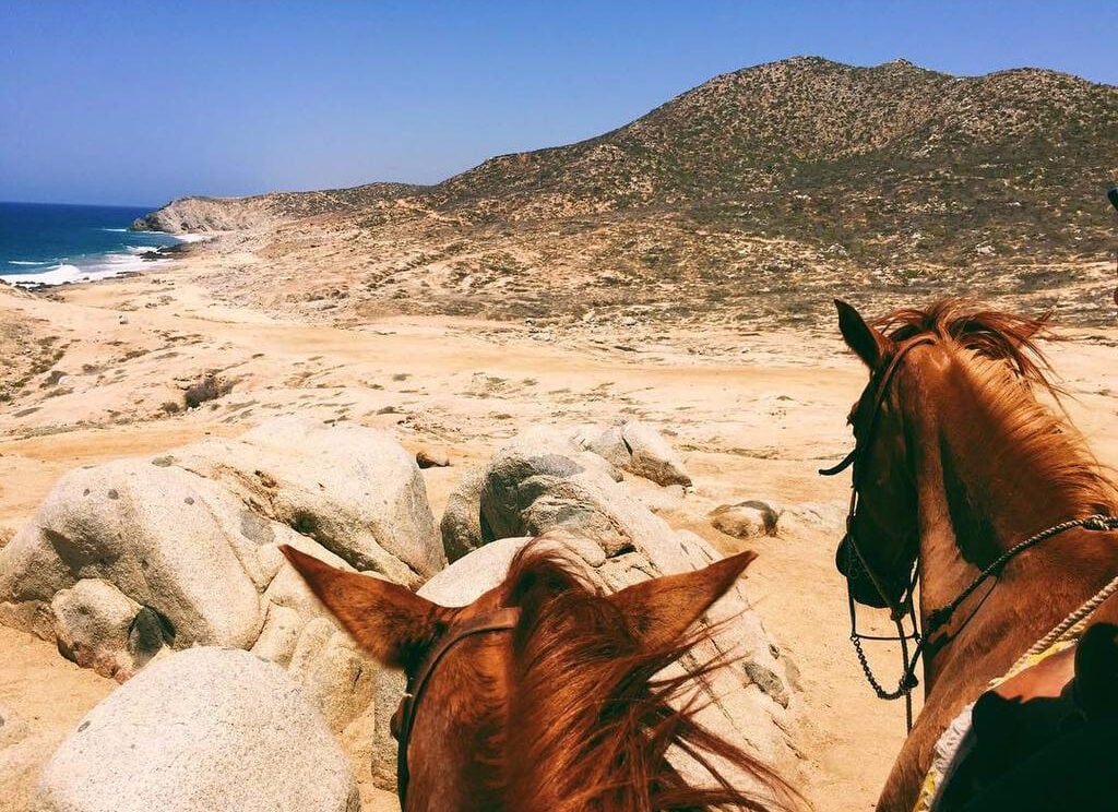 Horseback riding, Royal Solaris, Los Cabos, Mexico