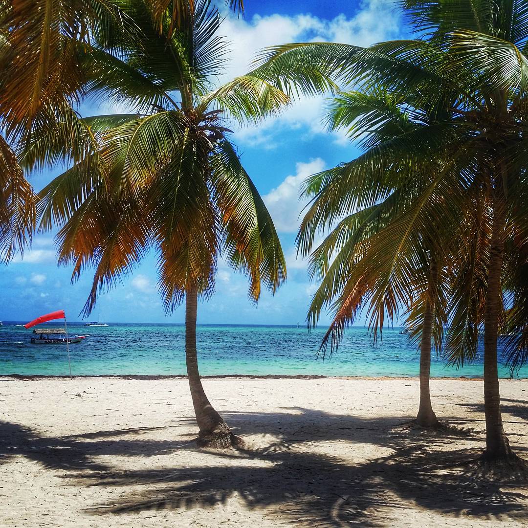 Palm Tree Beach, Paradisus Palma Real, Dominican Republic