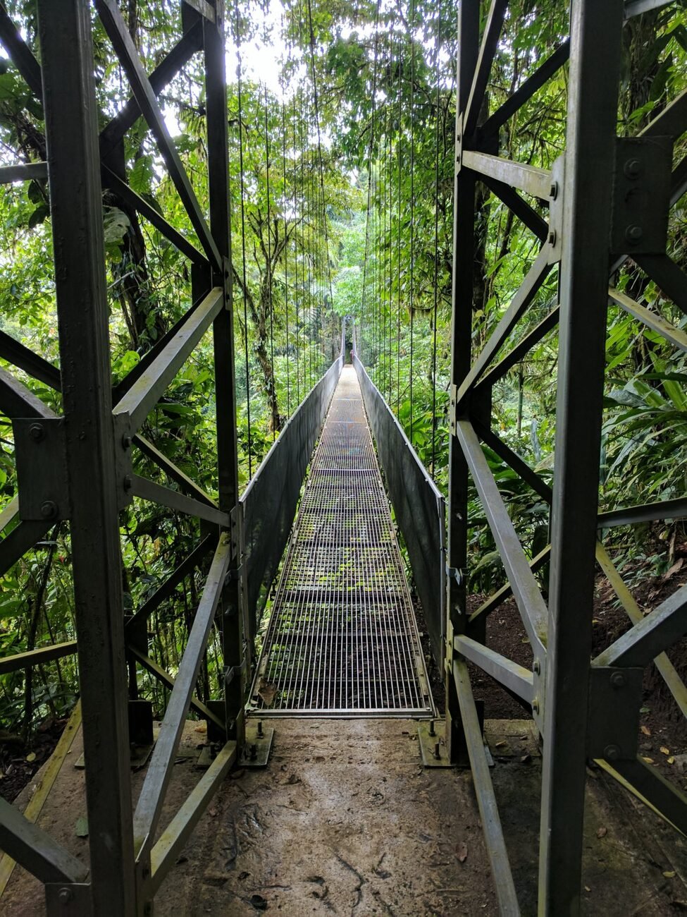 Suspension bridge, Arenal Rain Forest, Costa Rica