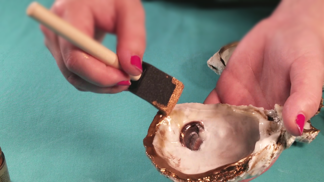 Oyster Shell Jewelry Holder