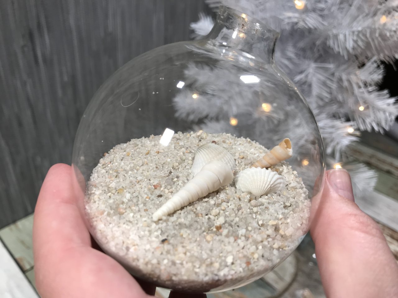 Small seashells inside glass ornament