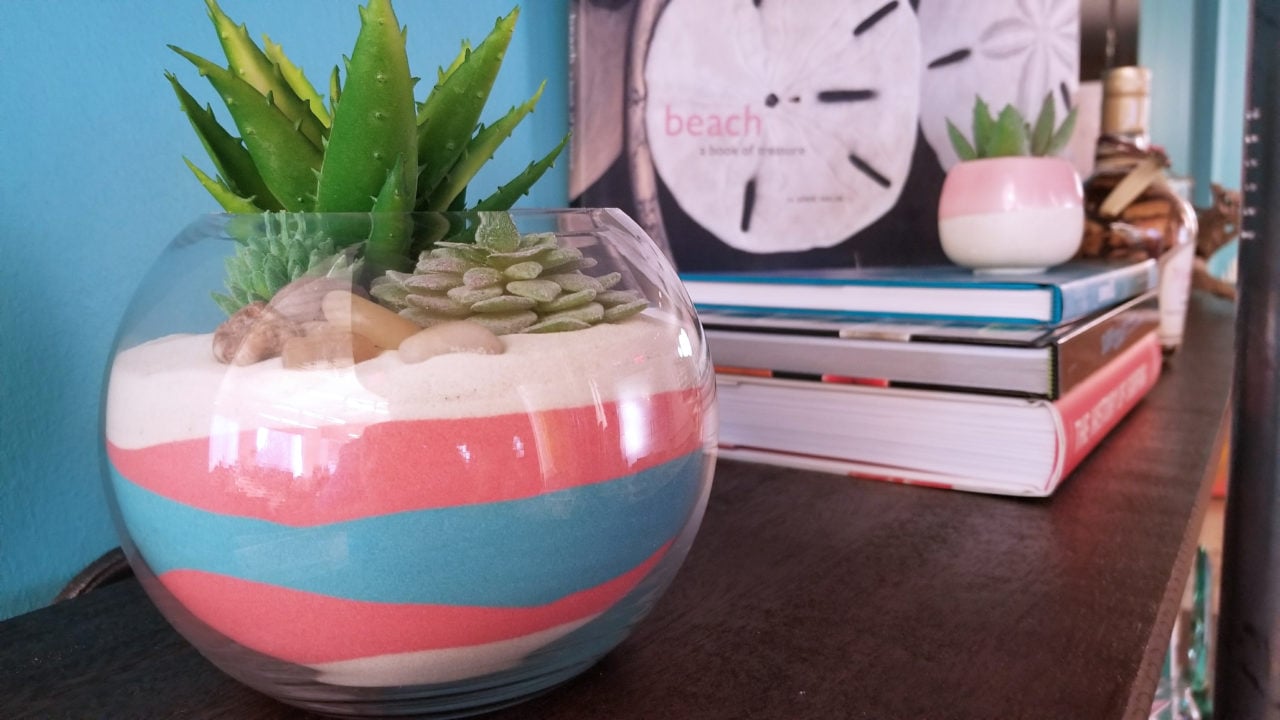 Easy_DIY_sand_Succulent_garden