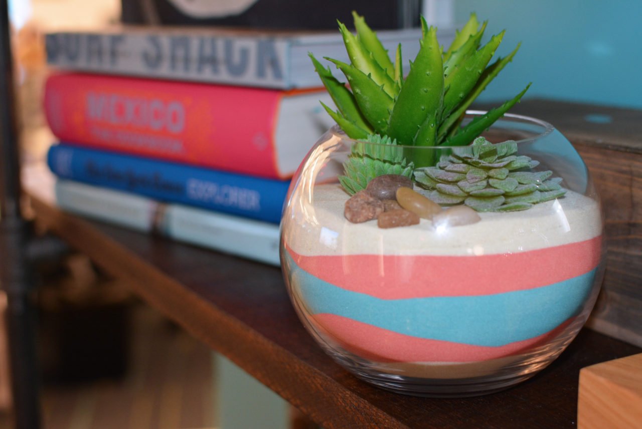 Easy_DIY_sand_Succulent_garden