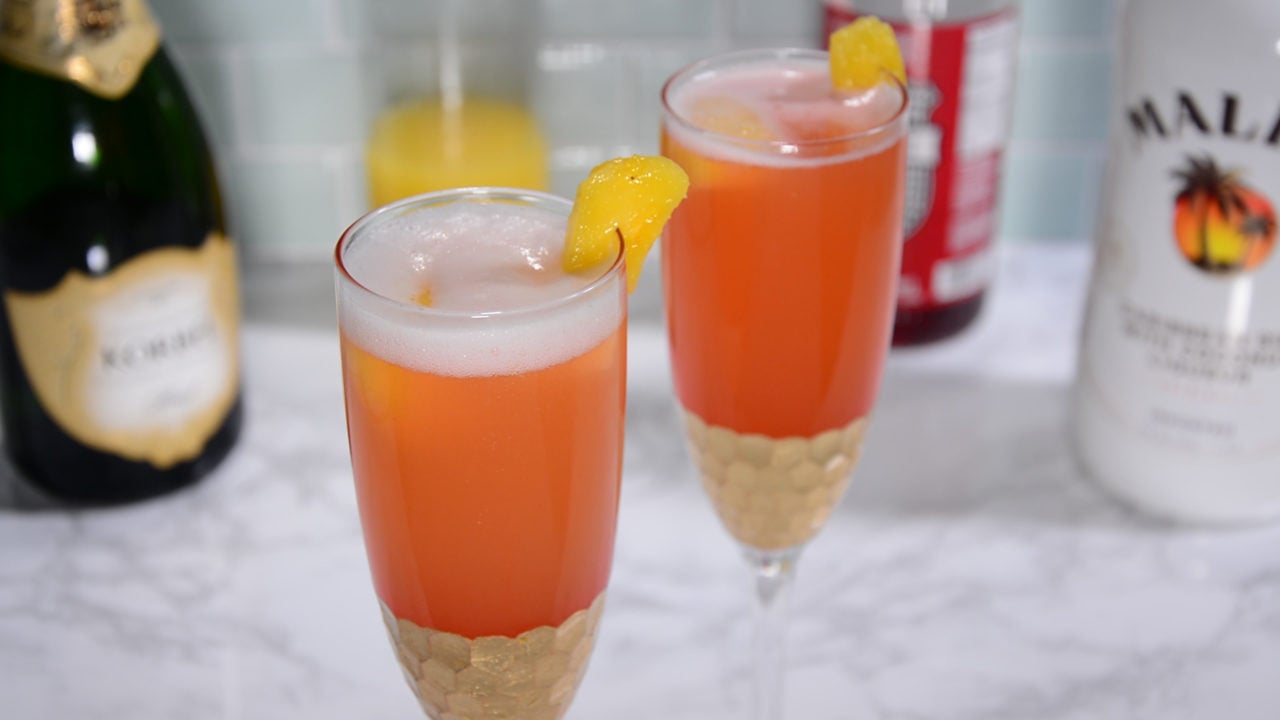 Caribbean Mimosa