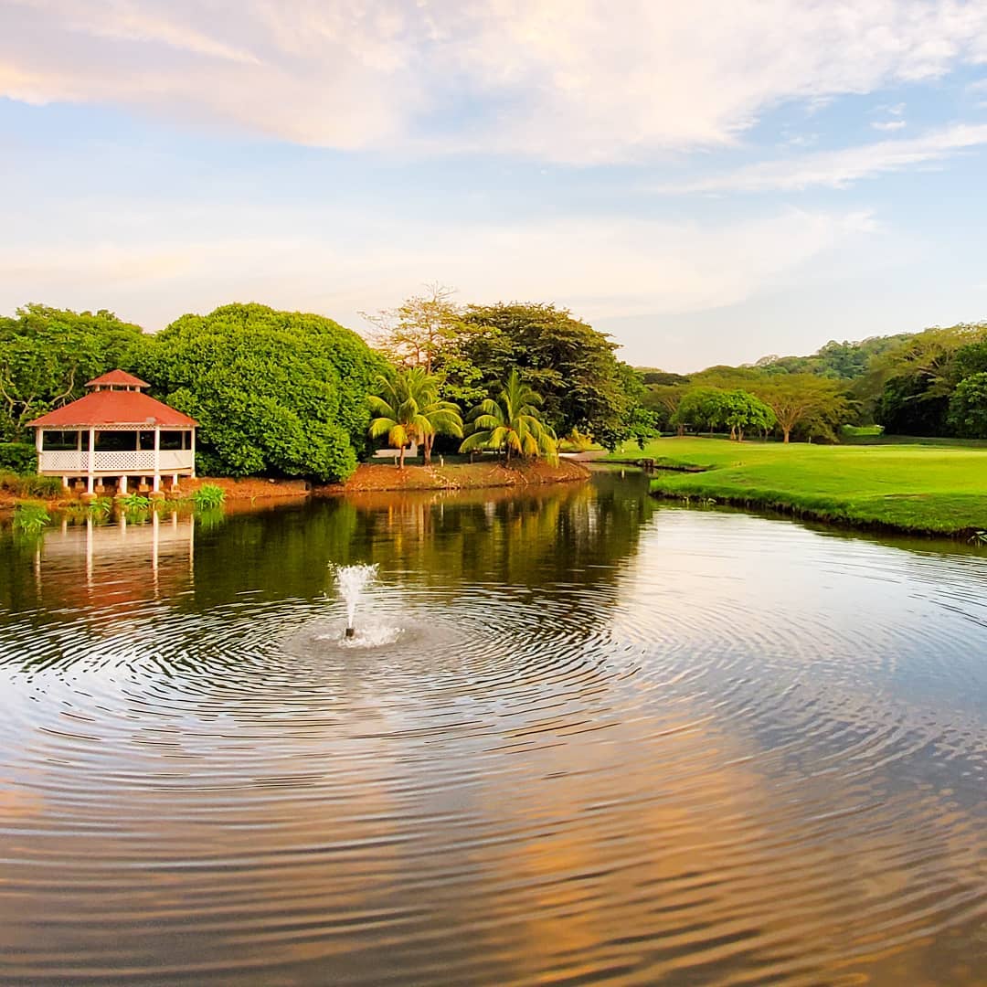 Pond on The Westin Golf Course