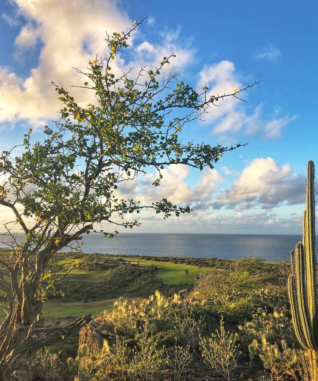 Ocean view of golf course