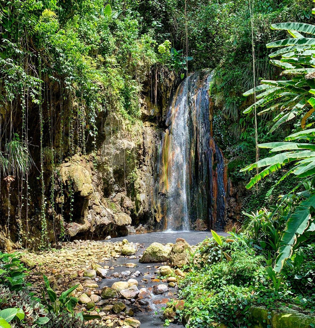 Waterfall in middle of rainforest