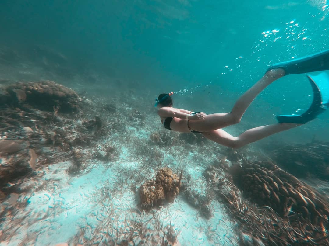 Girl snorkeling around coral reefs. 