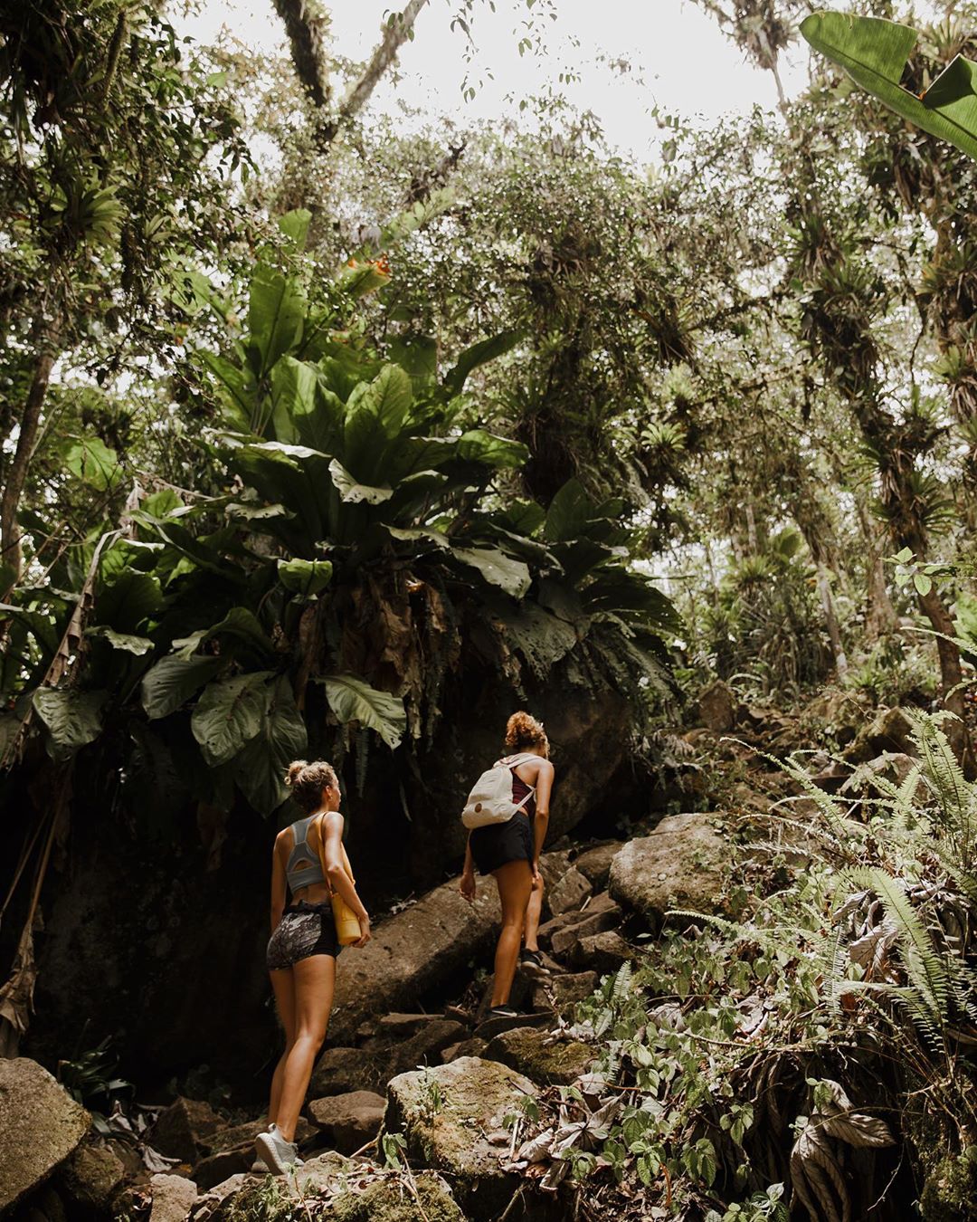 Girls hiking through the rainforest of Gros Piton.