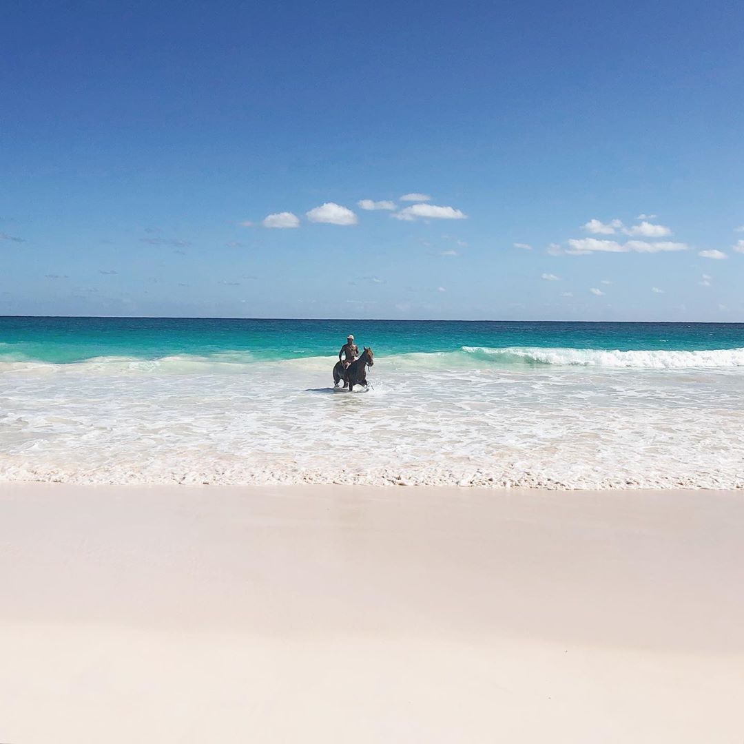 Guy on horseback in the waves of Pink Sand Beach. 