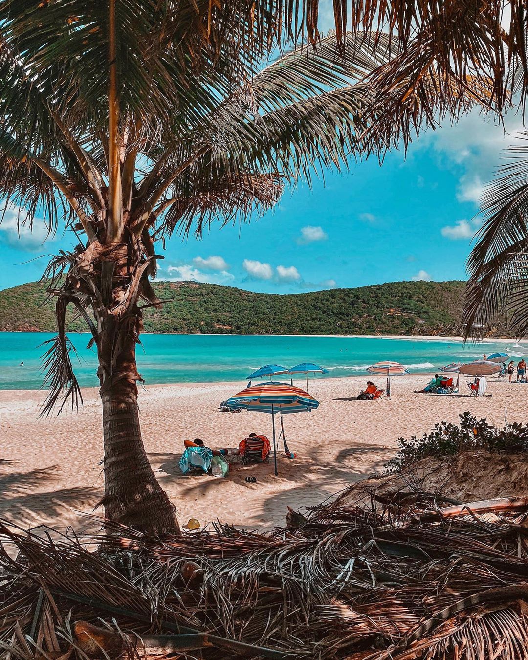 View of Culebra beach with umbrellas and chairs. 