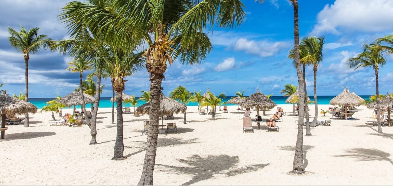 Beach with loungers and palm trees.